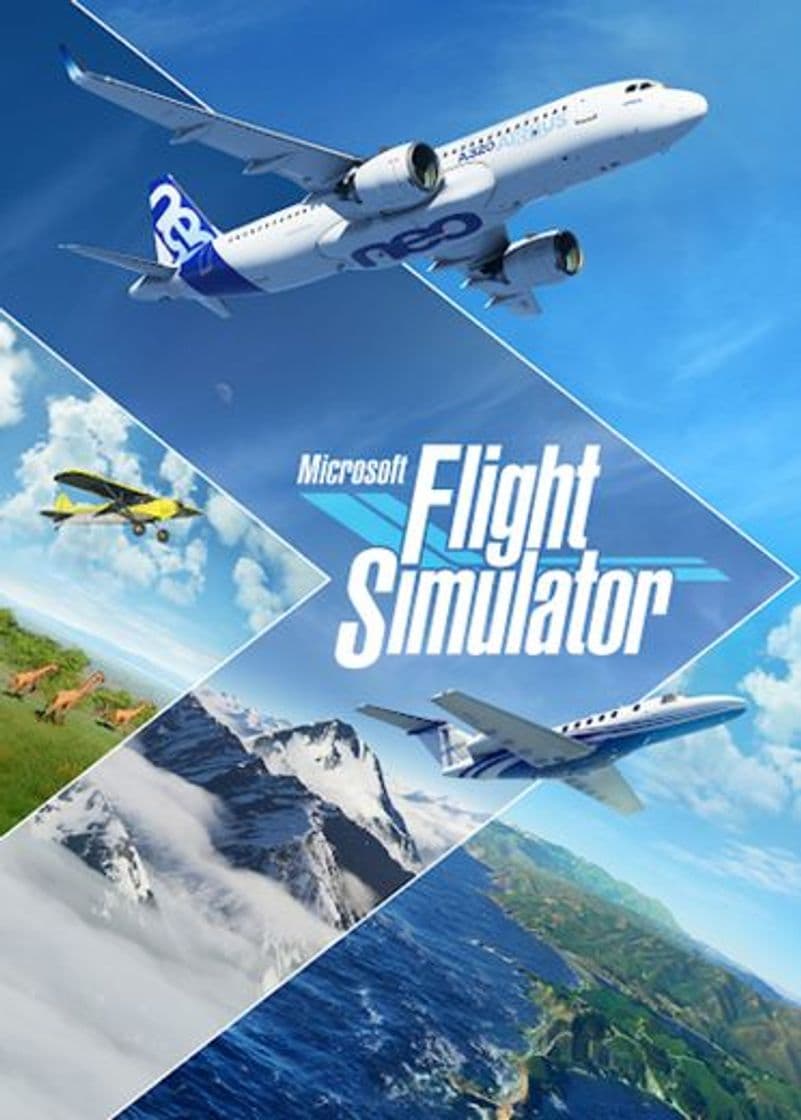 Videogames Microsoft Flight Simulator