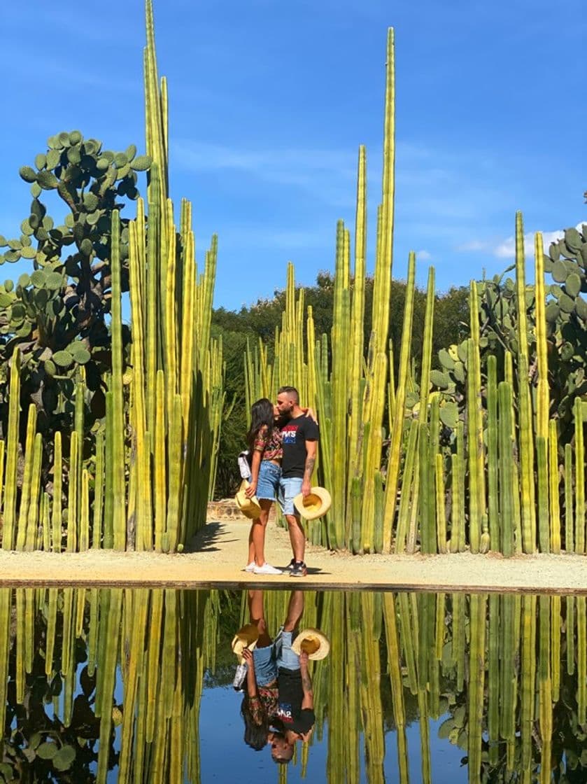 Lugar Jardín Etnobotánico de Oaxaca