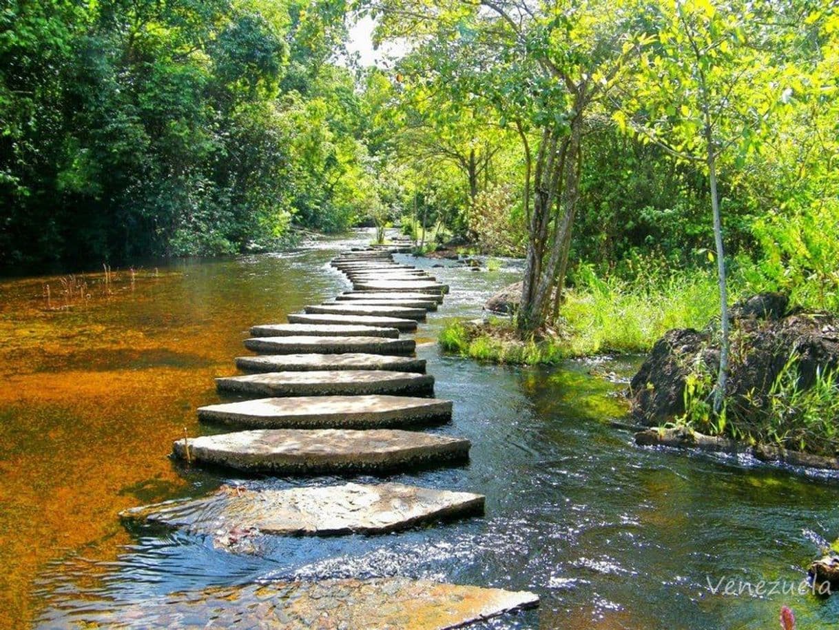 Lugar Parque la. Llovizna