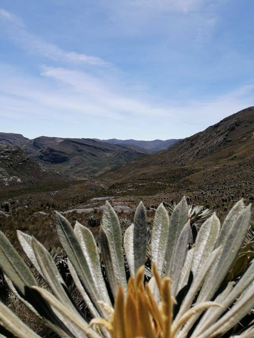 Lugar Tasco