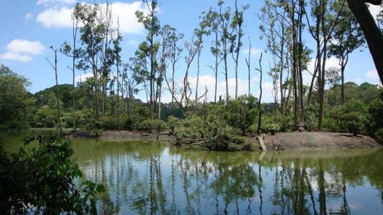 Place Parque Ecológico do Tietê