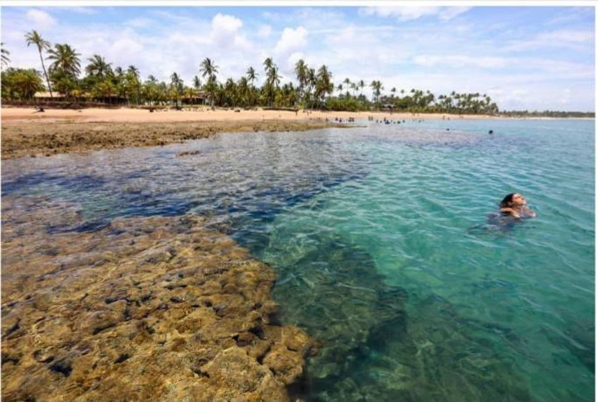 Moda Praias de Barra Grande e Península de Maraú - Melhores Destinos