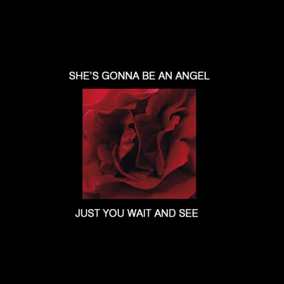 Canción Only Angel