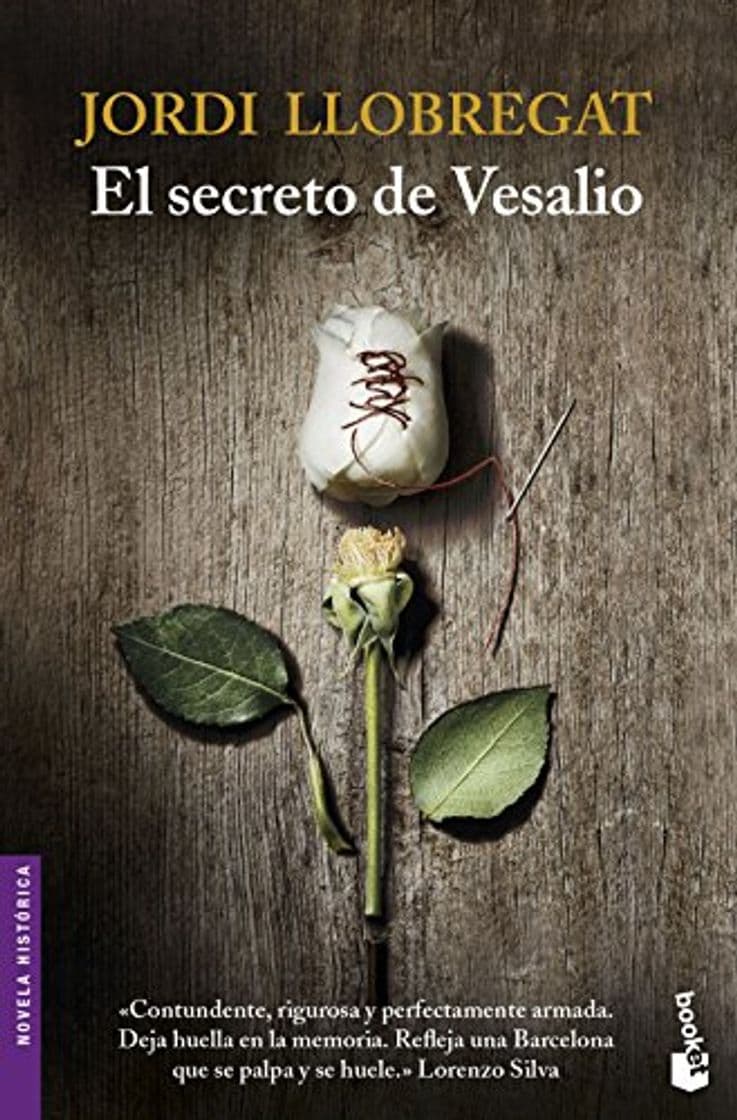 Book El secreto de Vesalio 