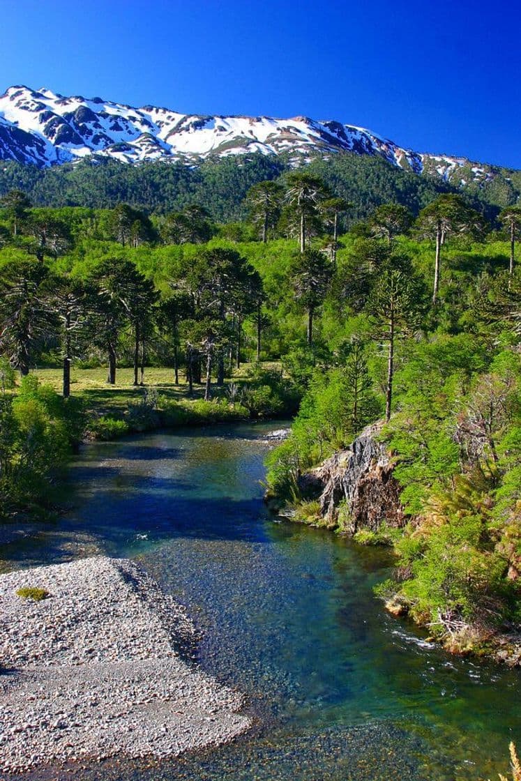 Lugar Cordillera de los Andes