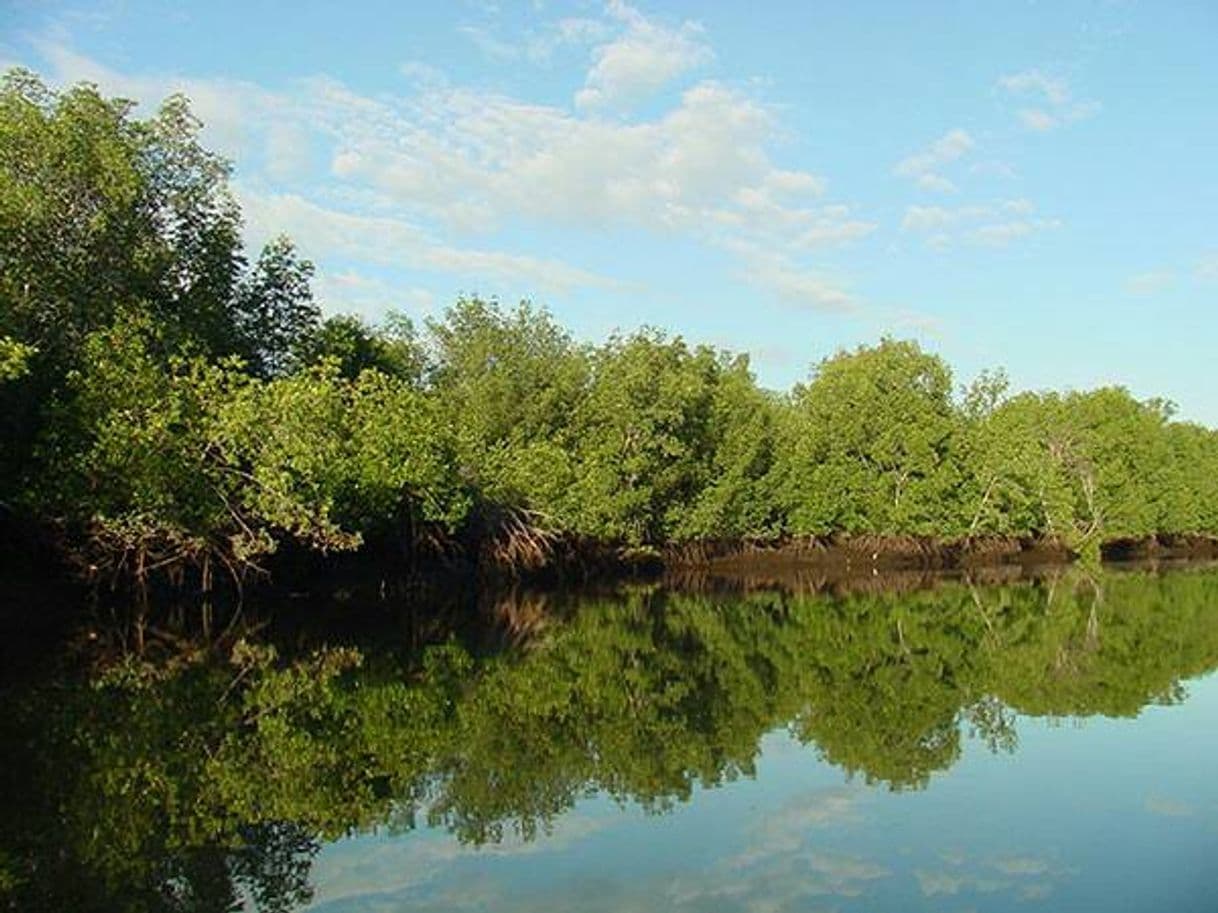 Place Estero de Aserradores