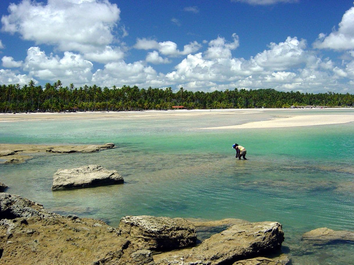 Lugar Praia dos Carneiros