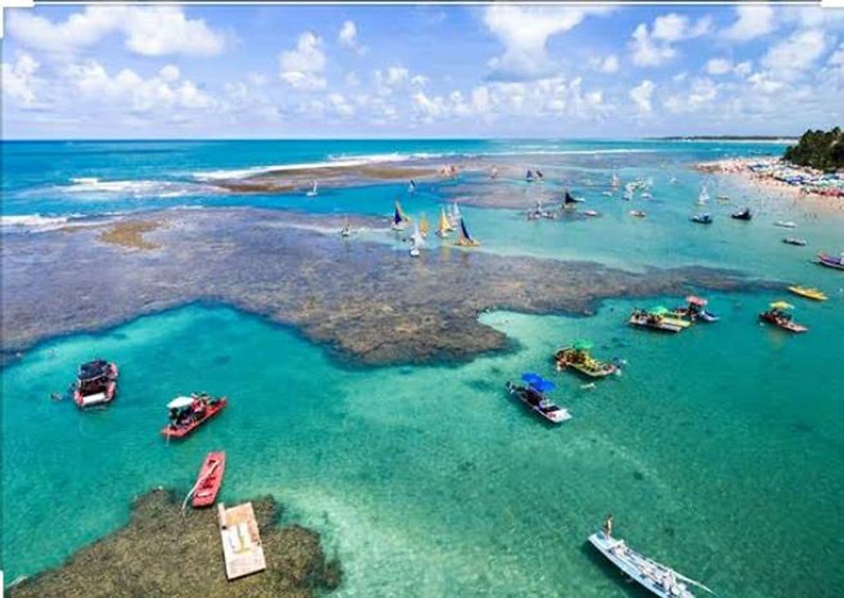 Lugar Porto de Galinhas