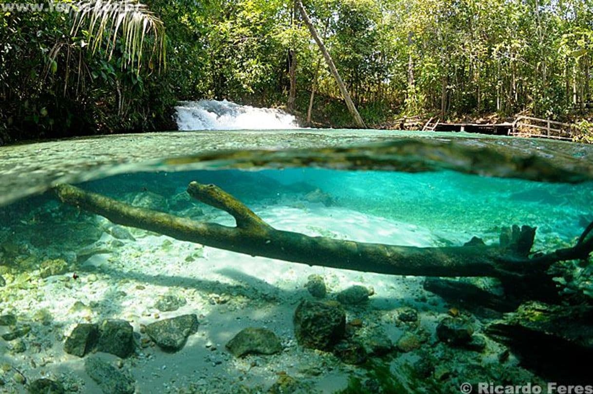 Lugar Parque Estadual do Jalapão