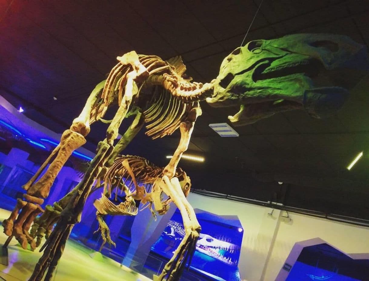 Lugar Museo de la Evolución Puebla