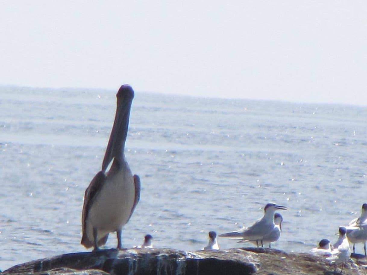 Lugar Agua Blanca