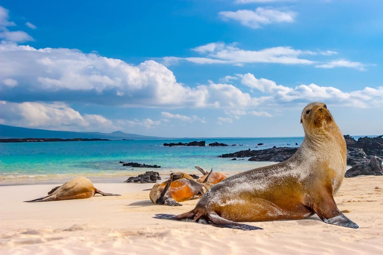 Lugar Galapagos