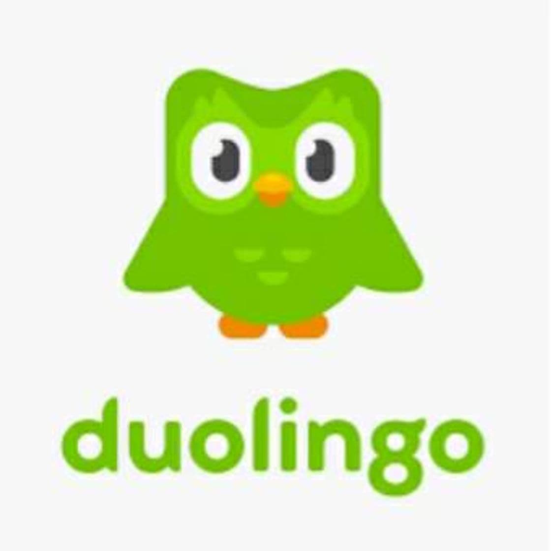 Fashion Duolingo