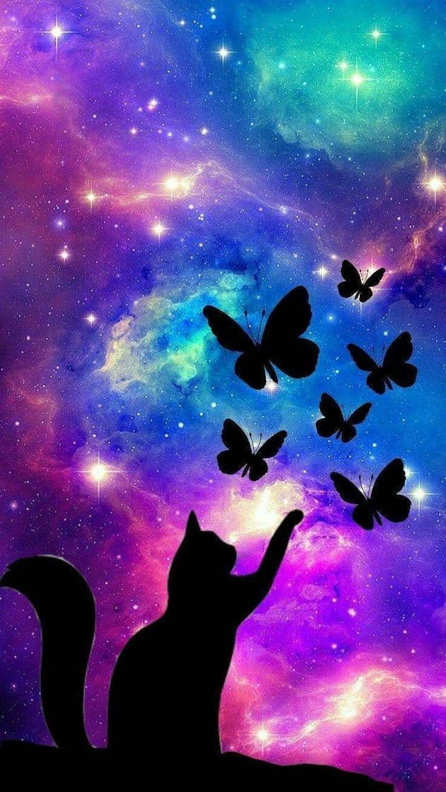 Fashion Wallpaper galaxy Cat and butterfly 