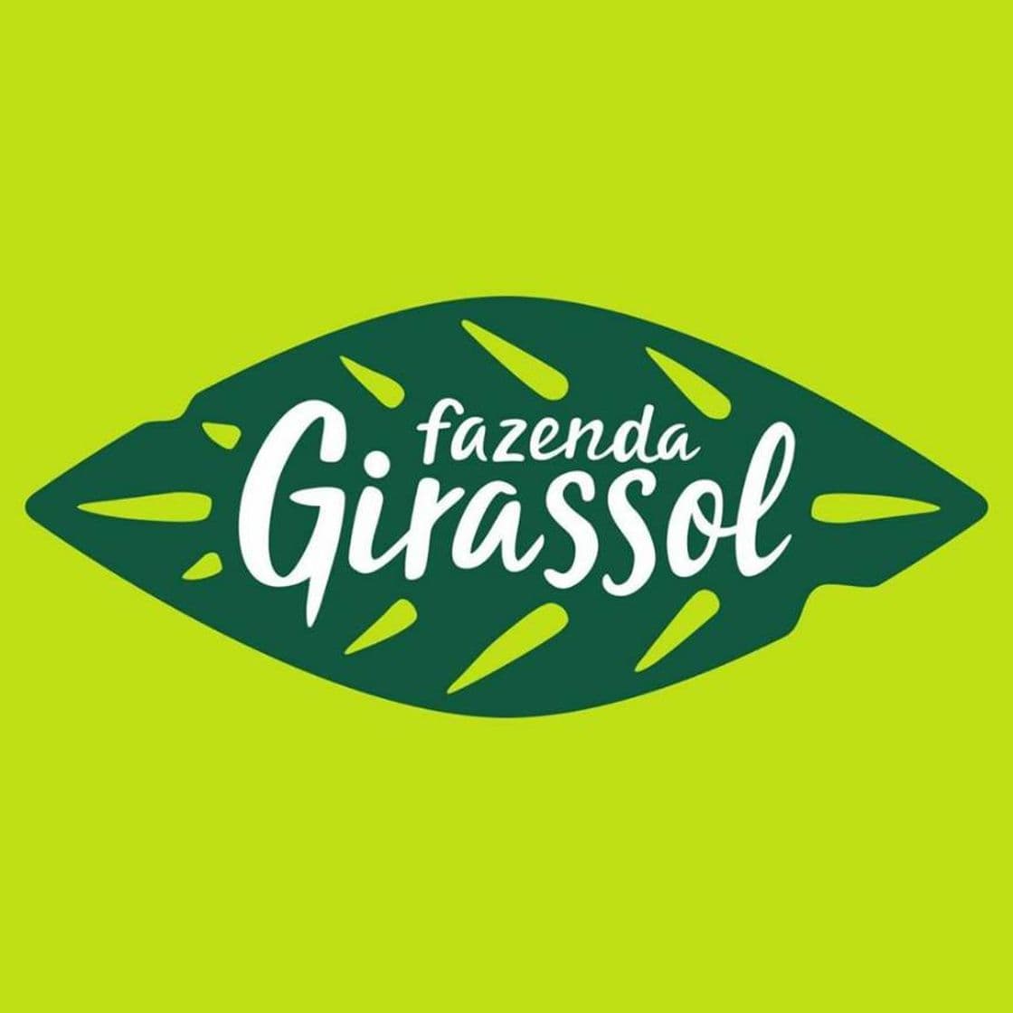 App Fazenda Girassol