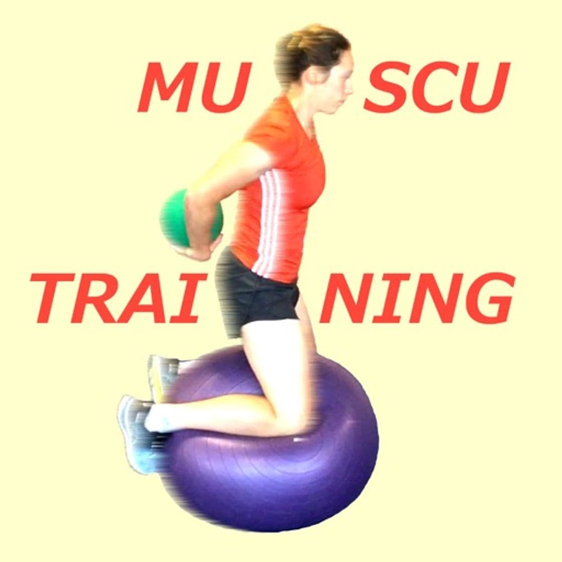 App Muscu Training