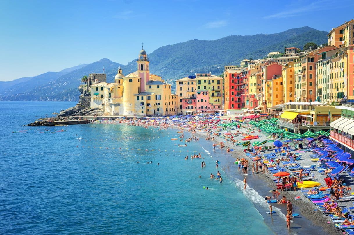 Place Camogli