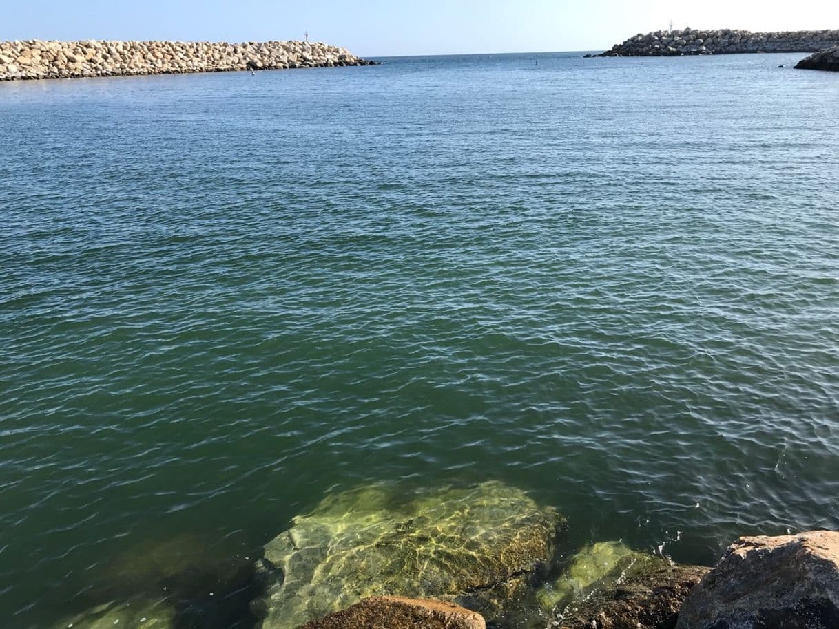 Lugar LA PLAYITA, SAN JOSE DEL CABO; BCS; Oscar Y Karlita