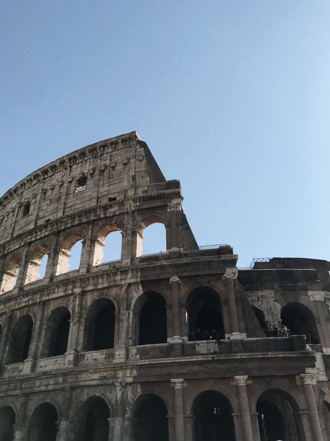 Lugar Coliseo de Roma