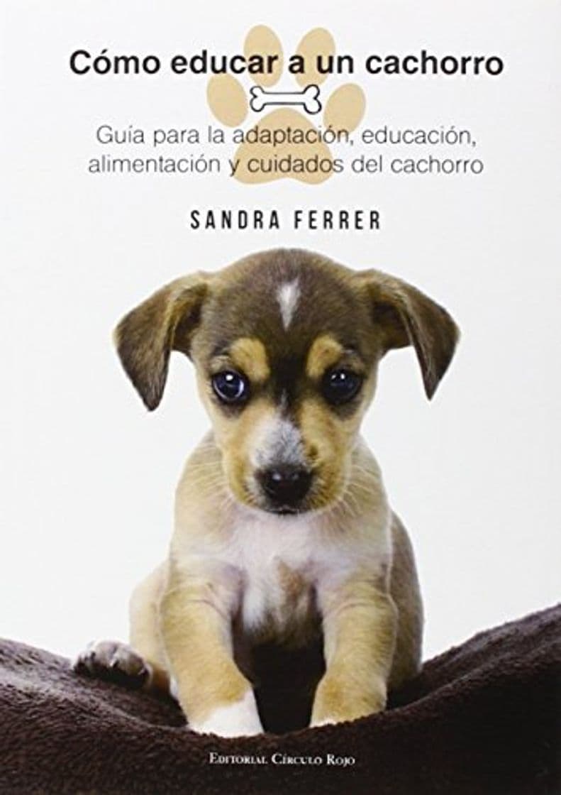 Product Cómo Educar a un Cachorro