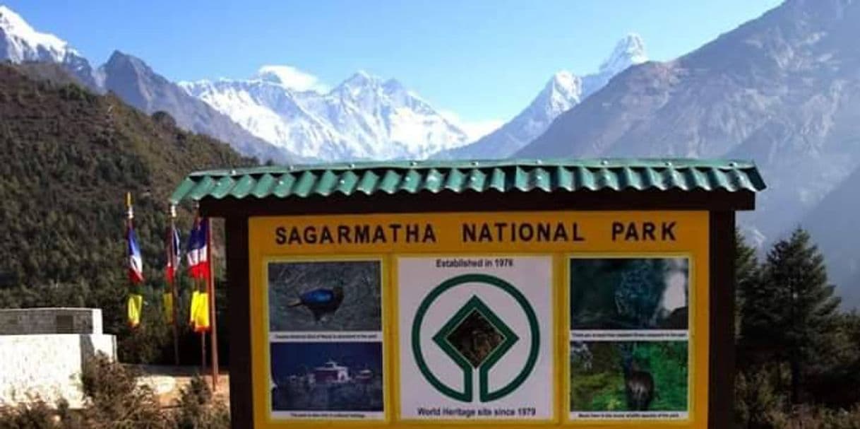 Lugar Parque nacional de Sagarmatha