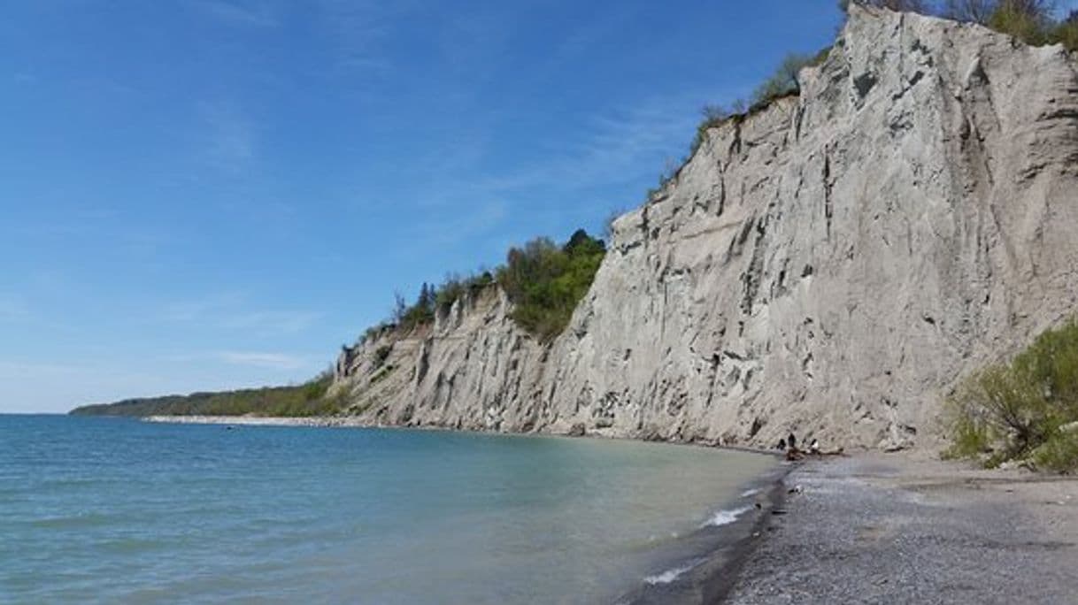 Moda Scarborough buff beach 