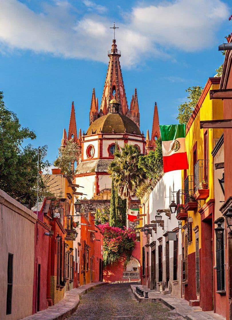 Place San Miguel de Allende