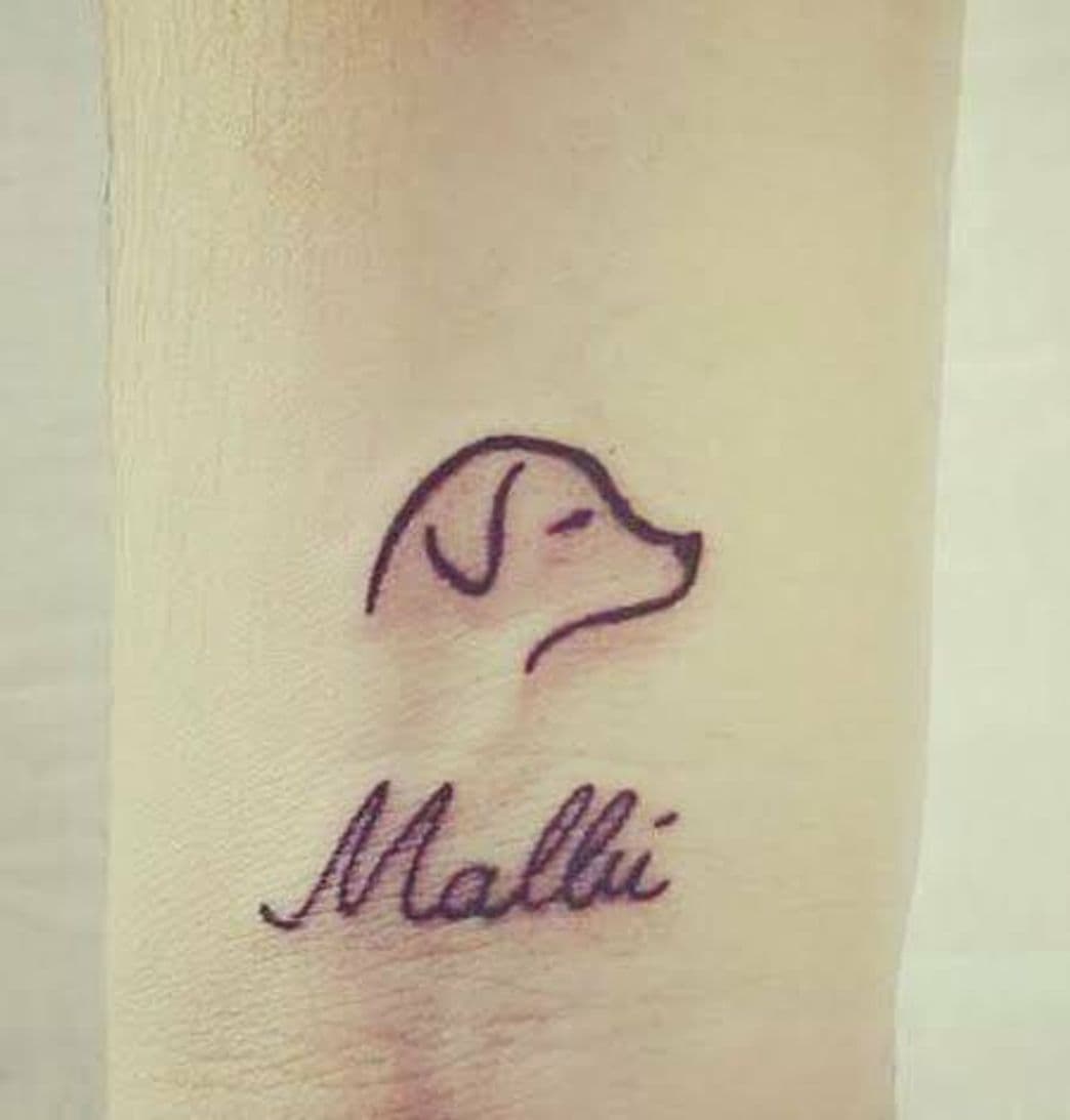 Fashion Tattoo de cachorro