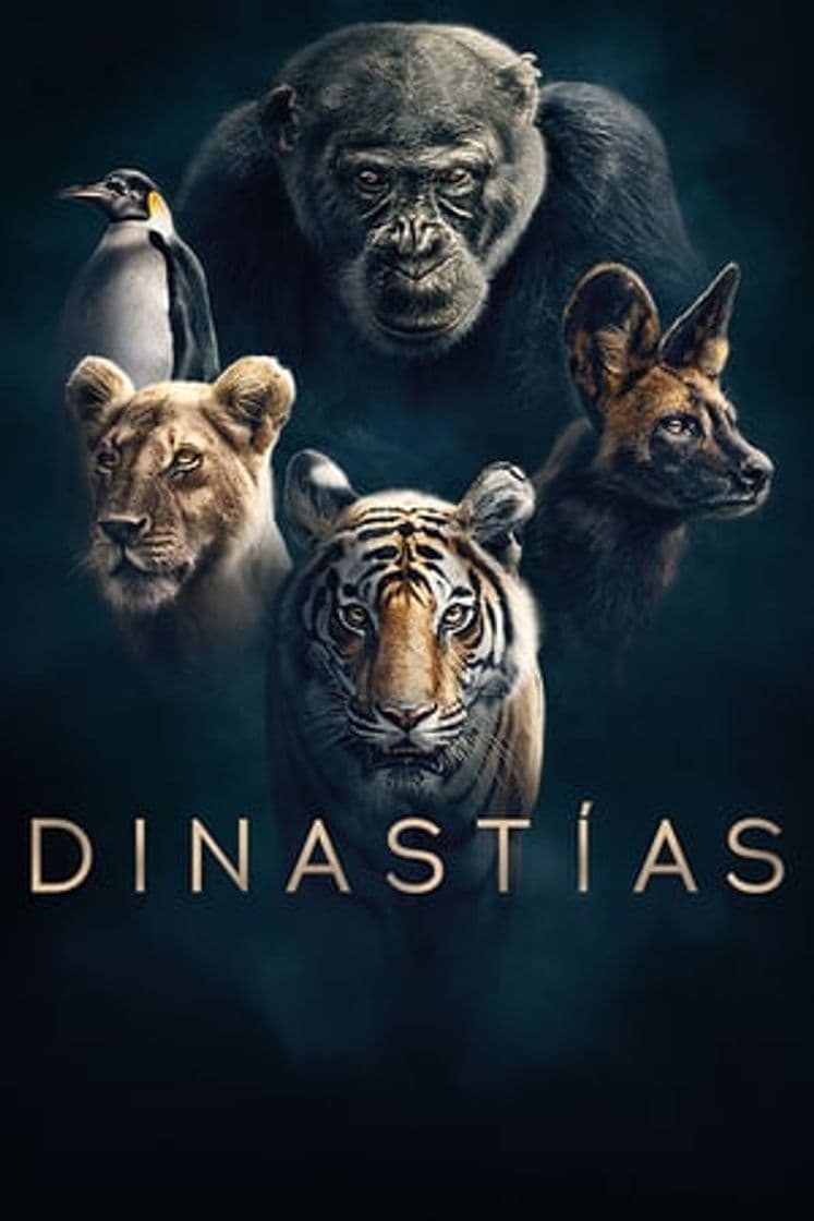 Serie Dynasties