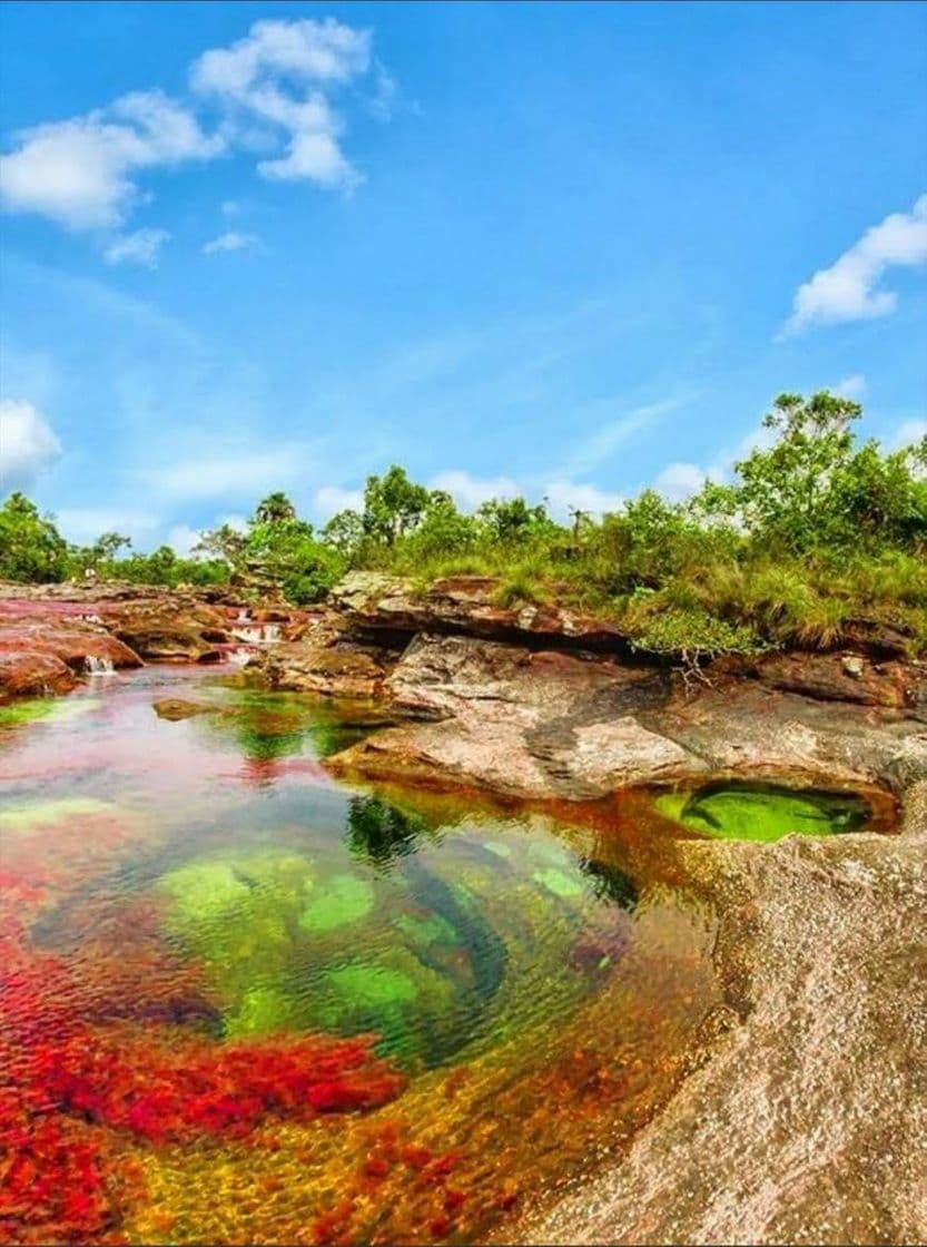 Place Caño Cristales