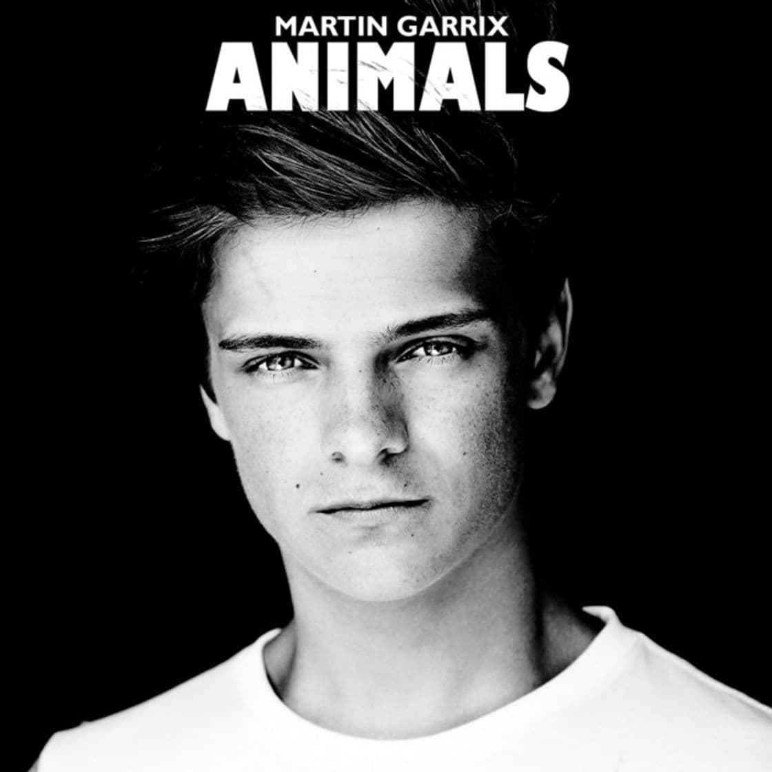 Music Animals - Radio Edit