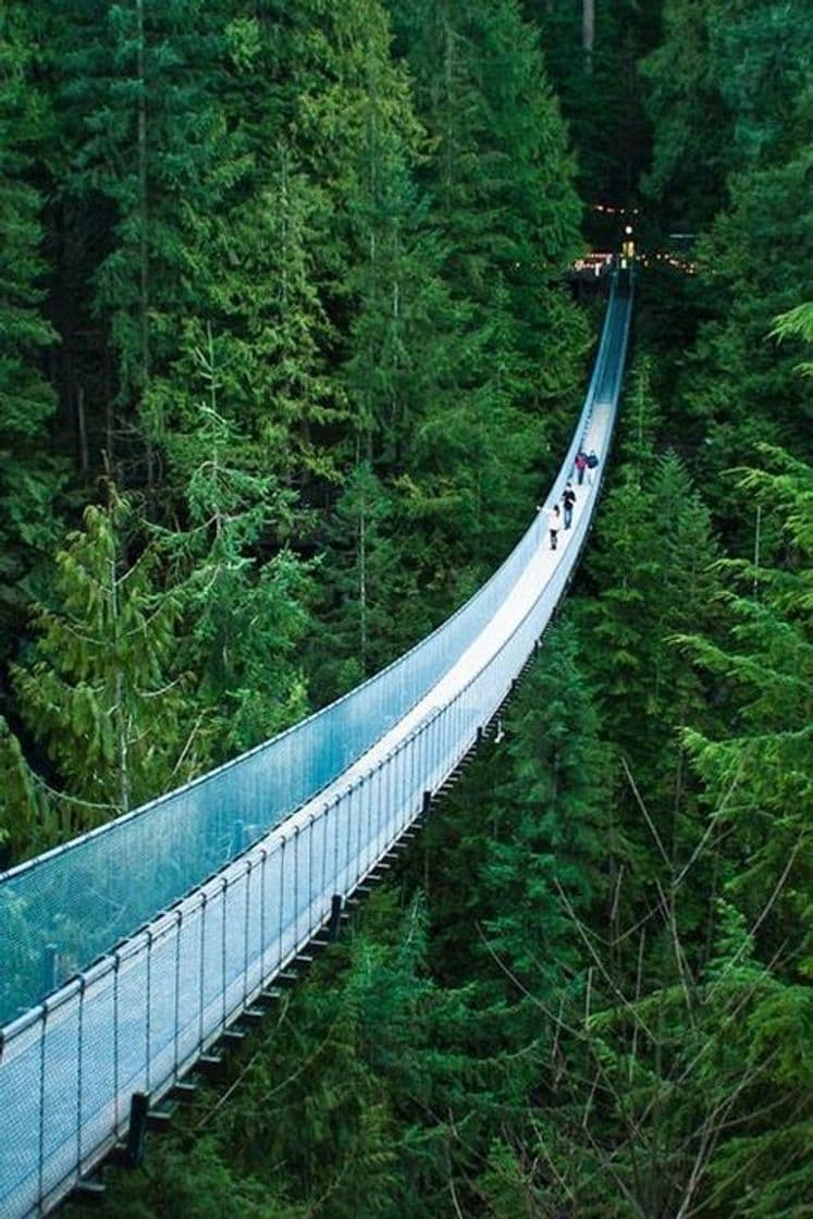 Lugar Capilano Bridge