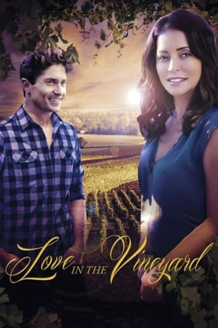 Película Love in the Vineyard