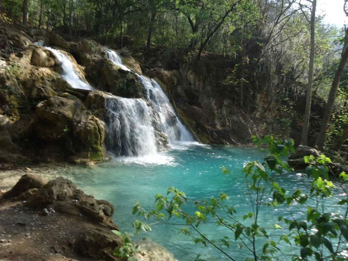 Lugar El Salto