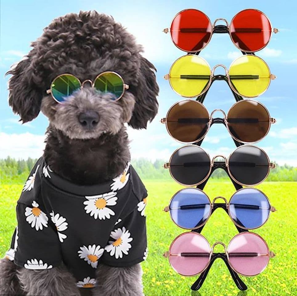 Product 🐶🐱Gafas para mascota🐱🐶