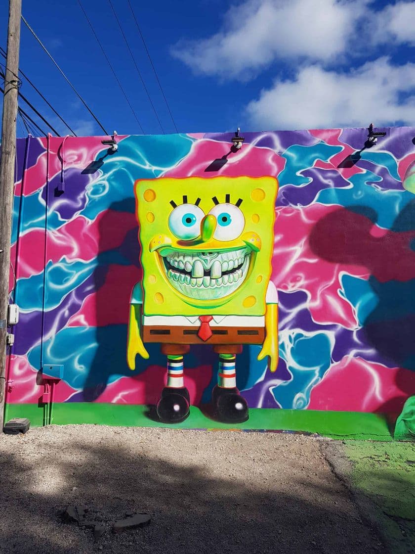 Place Wynwood Walls