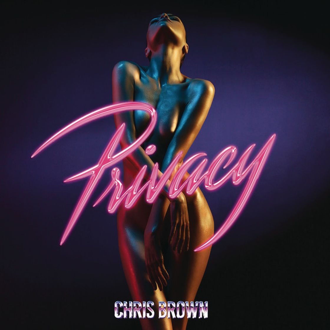 Canción Privacy