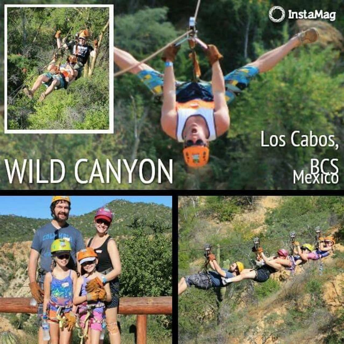 Place Wild Canyon Adventures