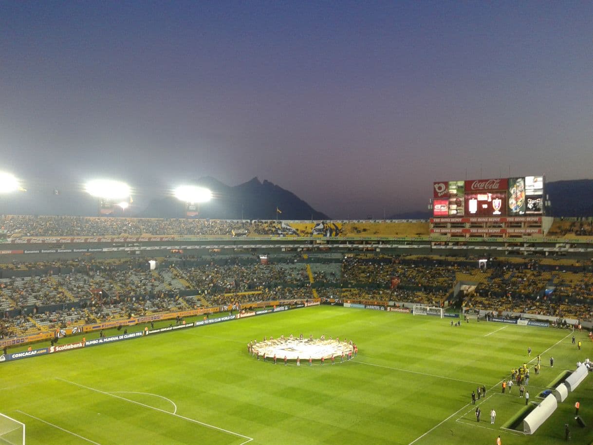 Place Estadio UANL