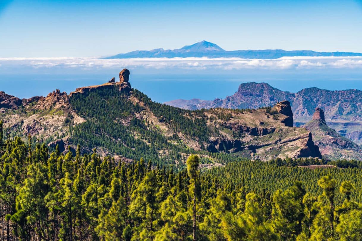 Lugar Roque Nublo