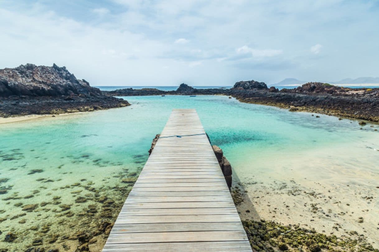 Lugar Isla de Lobos