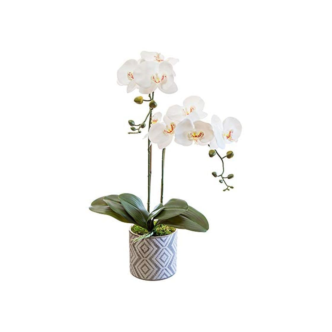 Product Orquidea Artificial, Altura 65 cm, Phalaenopsis, Maceta de Cerámica, Ideal para Decoración