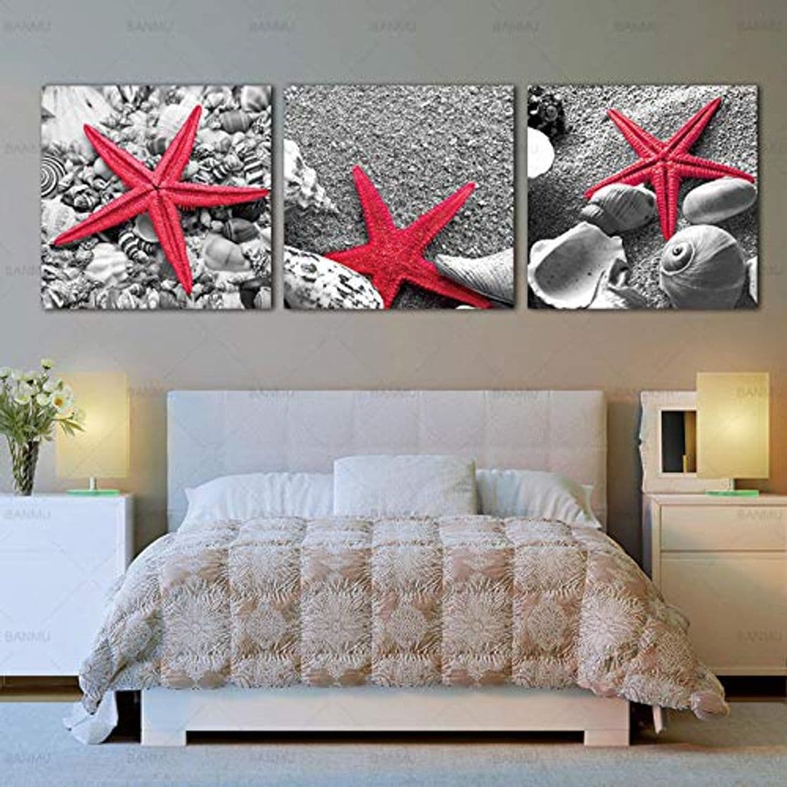 Product Cqzk Pintura Moderna sobre Lienzo Arte de la Pared Impresión de Imagen Conchas de Estrellas de mar Panel de Playa de Arena Paisaje Marino Imágenes Sala de Estar Dormitorio 50x50cmx3 Sin Marco