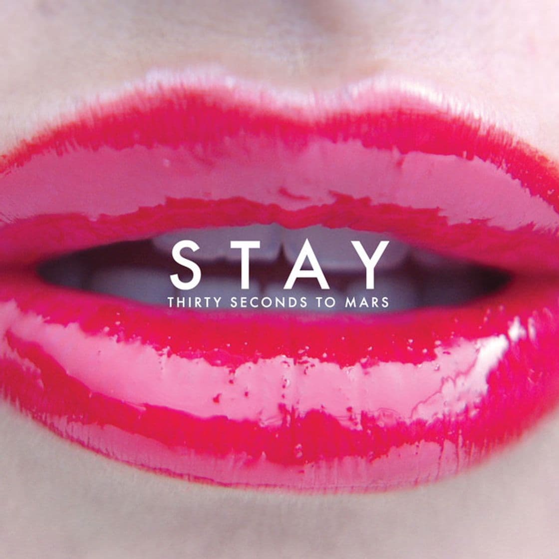 Canción Stay