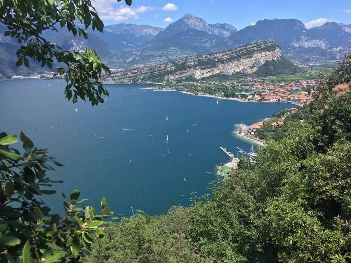 Lugar Sentiero forestale Busatte - Tempesta