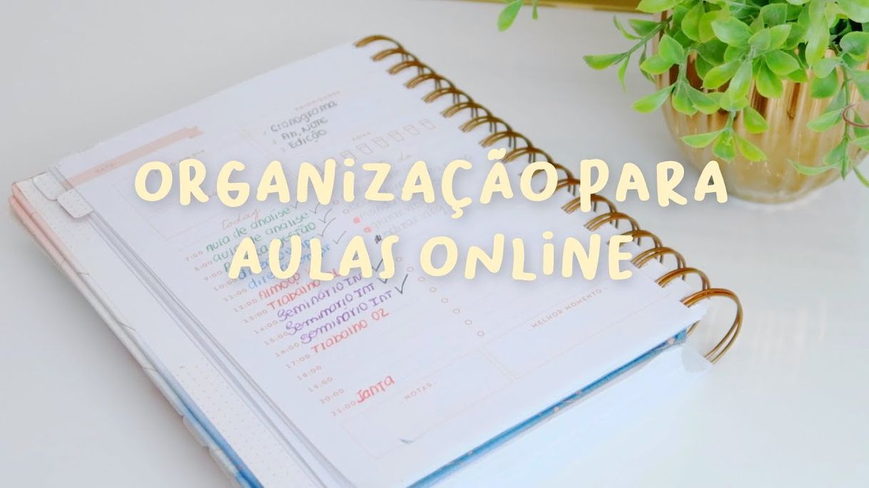 Moda Dicas para voltar com tudo aos estudos online-Luana Carolina