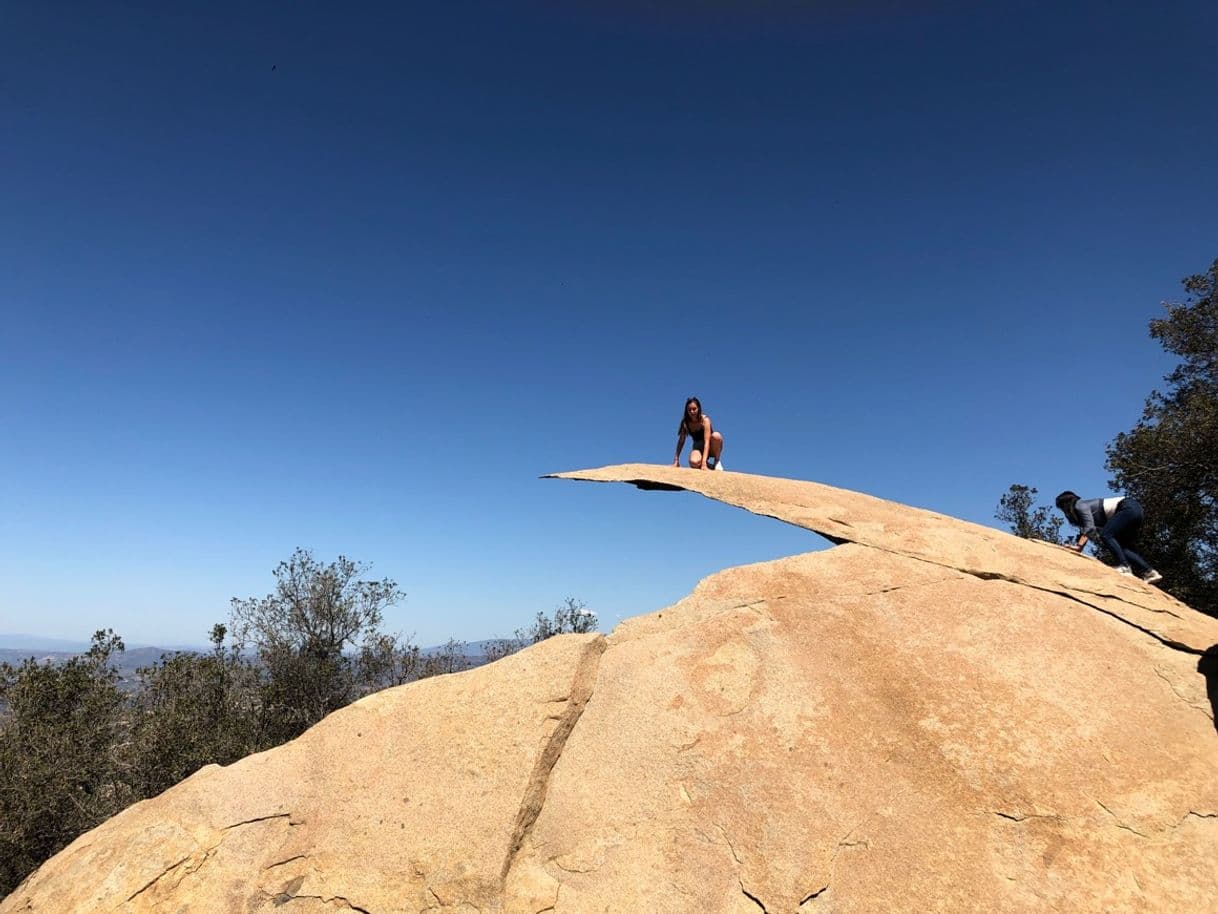 Restaurants Potato Chip Rock