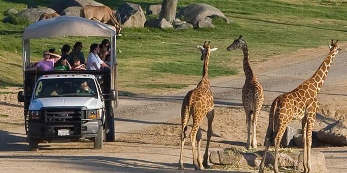 Place San Diego Safari Park( Insidegate)