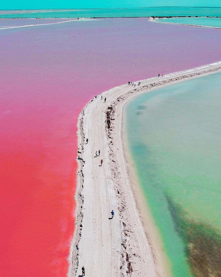 Place Las Coloradas Yucatan