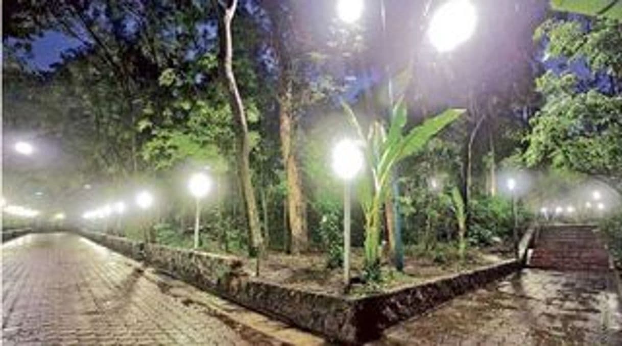 Lugar Parque Lira